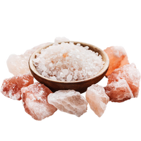 Deicing Salt for North American Areas From Pakistan Most Popular Fast Ice & Snow Melting Salt for Sale