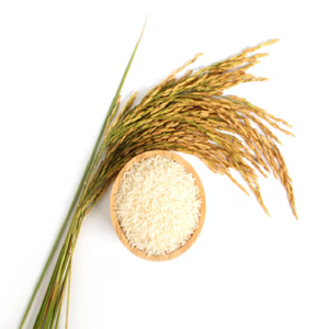 Arroz de jazmín orgánico de primera calidad, blanco de grano largo con textura dura, vaporizado suave para cocinar en stock, Comprar ahora - Product Image 6