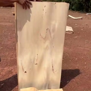 Chapa de madera de corte rotativo natural directo de fábrica para hacer madera contrachapada Chapa de núcleo de goma de 1-3mm de espesor - Product Image 1