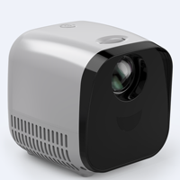 Projecteur LED 4K VIVIBRIGHT L01, Fournisseur OEM, Marque Privée, Portable, Utilisation Professionnelle et Éducative, Garantie de 3 Ans