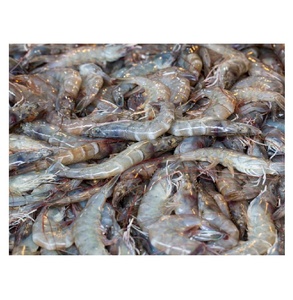 Gran Oferta de Camarones Blancos Congelados Vannamei de Alto Rendimiento para Fabricantes de Alimentos y Mercados Mayoristas - Product Image 1