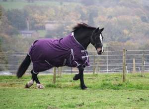 Alfombra de caballo ligera sin relleno Alfombra de caballo de asistencia Cuello estándar 600D Impermeable - Product Image 5