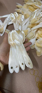 Cuillère unique en nacre avec manche en céramique coloré et durable, cuillères artisanales en coquillage, cuillères en coquille de caviar, couverts en nacre - Product Image 5