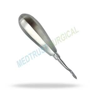 Elevador Dental Quirúrgico Pequeño en Forma de Pala, Instrumento de Acero Inoxidable para Extracción de Dientes y Elevación de Raíces - Product Image 4