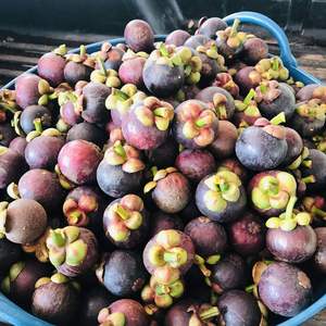 Mangoustan frais biologique de Thaïlande, Reine des fruits, au goût intense, sucré et riche en bienfaits pour la santé, qualité A, 8 kg - Product Image 5