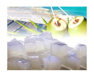 ธรรมชาติและสดมะพร้าวเจลลี่ Nata de COCO ในกลุ่มที่มีความบริสุทธิ์สูง Nata de COCO สำหรับสมูทตี้และโยเกิร์ต - Product Image 5