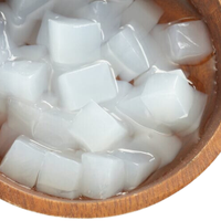 Beste Dessert Natuurlijke Nata De Coco Kokosnoot Jelly Pudding Hoge Kwaliteit Met Beste Prijs Export Uit Vietnam