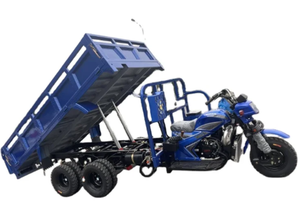 Лидер продаж: 9-колесный бензиновый грузовой трицикл (250, 300, 350 куб. см) для промышленного использования, OEM/ODM, DIY - Product Image 3