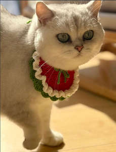Bufanda de Ganchillo para Gatos, Diseño Personalizado de Fábrica 2025, Bufanda Cálida y Moderna para Mascotas - Product Image 2