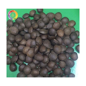 Graines de Sacha Inchi de qualité assurée, usine de graines de Sacha Inchi au Vietnam, huile de Sacha Inchi en gros, noix et noyaux - Product Image 1