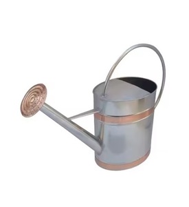 Regadera de estilo de granja, metal sólido, herramienta multiusos para el cuidado de las plantas a precio económico y MOQ bajo - Product Image 3