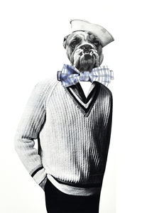 Postales con collage de animales 15x10cm - Collage sarcástico - Product Image 3