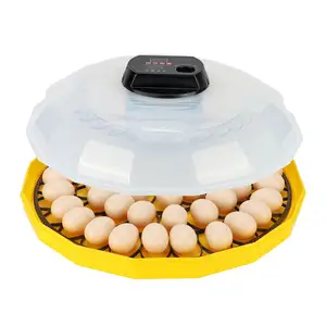 2024 Hot Selling 48 Eggs Incubator Hatching Machine With Auto Egg Turning For Home Use