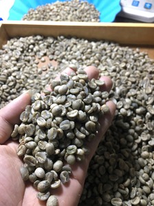 กาแฟอาราบิก้าเวียดนามคุณภาพสูงทำจากน้ำผึ้งรสชาติเป็นกลางปริมาณการซื้อขั้นต่ำ2กก. พร้อมส่งในบรรจุภัณฑ์ถุง