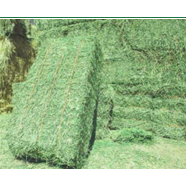 Venta al por mayor de Piensos Premium para Animales | Harina de Soja, Harina de Pescado, Heno de Alfalfa y Ingredientes para Pie - Product Image 1