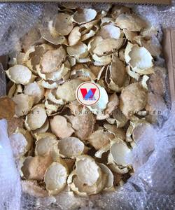 เปลือกปูแห้งธรรมชาติ/ส่วนประกอบทางทะเลที่ยั่งยืน/เหมาะสำหรับใช้ในอุตสาหกรรมและการใช้งานวัสดุที่ใช้งานได้จริง - Product Image 2