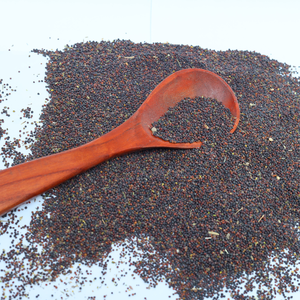 Semillas de mostaza negra natural de calidad superior Venta al por mayor Suministro a granel Exportación Listo Embalaje personalizado Semillas de mostaza negra cruda - Product Image 3
