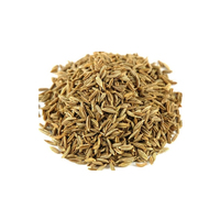 Cumin vert naturel pur et sain, séché et cru, traité AD, 1 kg du Brésil, durée de conservation de 2 ans, emballage personnalisé FENICIA, produit le plus vendu