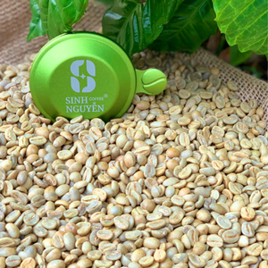 Granos de café verde miel Arábica sin tostar 100% Natural Premium de Vietnam en bolsas de 60kg - Product Image 5