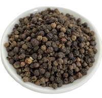 Poivre noir épicé pur à 100 %, nouvelle récolte certifiée ISO du Vietnam, 500 g/l, poivre cru séché MC, procédé de séchage AD, meilleur prix