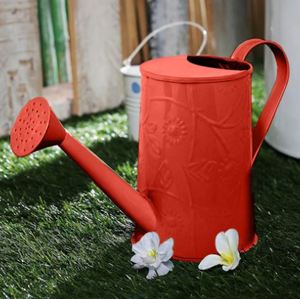 Poudre noire Coting de haute qualité nouveau concepteur galvanisé métal intérieur plante arrosage élégant moderne et élégant maison artisanat exportations - Product Image 3