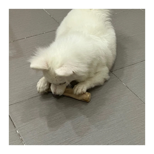 Jouets à mâcher en bois de café pour chiens-Fourniture en gros de l'usine du Vietnam pour les marchés d'exportation-Parfait pour les animaux de compagnie - Product Image 2