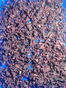 ดอกชบาอบแห้งบริสุทธิ์ | ส่วนผสมอาหารและผลิตภัณฑ์ดูแลผิว | ผู้ส่งออกจากอินเดีย - Product Image 5