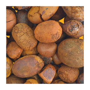 100% นิ่วในวัวธรรมชาติคุณภาพสูง - Product Image 4