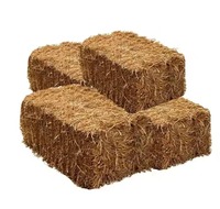 Arwin - Pacas de Paja de Trigo de Alta Calidad en Oferta, Pequeñas y Grandes, para Caballos, Camellos y Ovejas, Secas al Sol, Longitud de la Paja de 0.5 Pulgadas