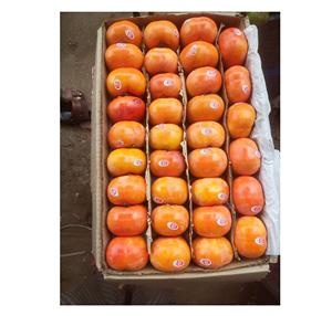 Vente de Gros Fruits Frais Kaki - Product Image 4