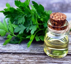 Bulk Pure, Natural Parsley Leaf <b>Essential</b> <b>Oil</b> for <b>Diffuser</b>, Massage, Soap & Cosmetics | OEM Private Label Manufacturer Exporter - Product Image 2