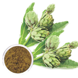 Poudre d'extrait d'artichaut d'approvisionnement direct d'usine meilleur choix pour les ingrédients sains de tisane - Product Image 4