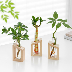 Crystal Glass Square Test Tube Vase Wooden Stand Modern Hydroponic Planter <strong>Propagation</strong> Station Indoor Plants Home Garden - Product Image 4