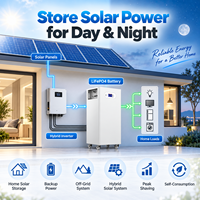Batterie domestique LiFePO4 10,24 kWh 14,34 kWh 16,08 kWh 51,2 V avec BMS intelligent, stockage d'énergie solaire sur pied ESS, vente en gros