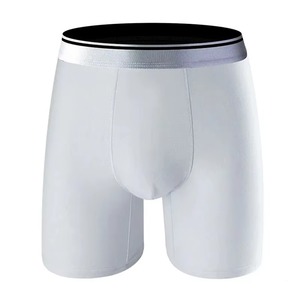 Venta al por mayor de calzoncillos bóxer para Hombre Ropa interior cómoda transpirable personalizada pantalones cortos bóxer deportivos de pierna larga proveedor OEM - Product Image 2