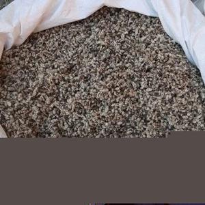 Semillas de algodón orgánico secas de grado premium al mejor precio al por mayor - Product Image 4