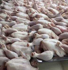 Compre Pollo Halal Congelado Fresco de Primera Calidad, Cuerpo Entero de Pollo Congelado, Muslos de Pollo Congelados, Alas de Pollo Congeladas, Disponible para Envío - Product Image 5