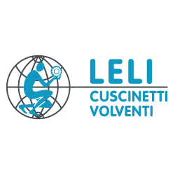 LELI SRL logo