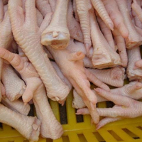 Patas de Pollo Congeladas Halal de Primera Calidad, Corte Natural, Grado Superior, Origen Estadounidense, 50 kg
