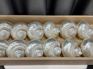 Custom Seashell Wine Glass for Hotel Resort Decoration and Wedding Party <b>Souvenir</b> Gift - Product Image 6