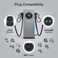Nouvelle borne de recharge rapide DC pour véhicules électriques 20KW 30KW 40KW, Wallbox CCS2 GB/T, station de recharge commerciale CHESU, pour flotte de voitures électriques, parking