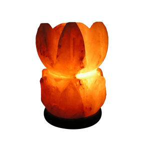 Lámparas de sal en forma de flor con sal rosa del Himalaya Decoraciones de vidrio talladas a mano para el estilo de amor del hogar - Product Image 1