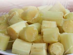 Palitos de Caña de Azúcar IQF de Vietnam |   Sabor Dulce Fresco |   Suministro de Fábrica 2025 - Product Image 2