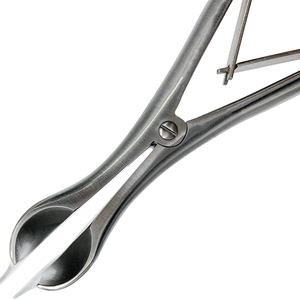 Espéculo Rectal de Fuente de Alimentación Manual para Instrumentos de Ginecología, Venta Caliente, Diseño OEM Personalizado - Product Image 6