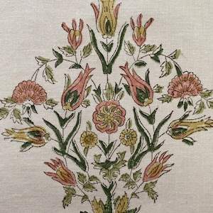 ปราชญ์สีเขียวปลาแซลมอนสีชมพู