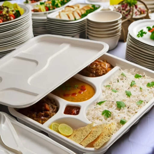 Platos Desechables de Bagazo Compostables Premium, Ecológicos, Aptos para Microondas y Congelador, a Prueba de Fugas, para Catering - Product Image 1