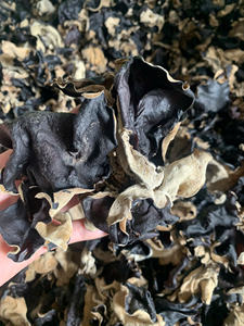 Grand exhausteur de saveur pour l'exportation culinaire et le marché de détail Fournisseur de champignons noirs séchés naturels purs du Vietnam - Product Image 4