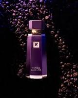 Parfum COCOA MORADO 100ml French Avenue Original Dubaï Arabe Longue Tenue Eau de Parfum pour Femme