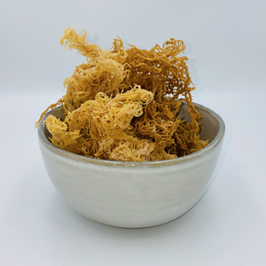 Musgo Marino Seco de Origen Vietnamita, Mariscos Secos Premium, Suministro al por Mayor - Product Image 6