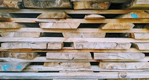 Blackheart Sassafras Troncos para muebles Blackheart Sassafras Lumber Log Supply - Product Image 2